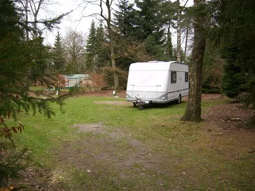 camping-de-paalberg-ermelo-eryrr