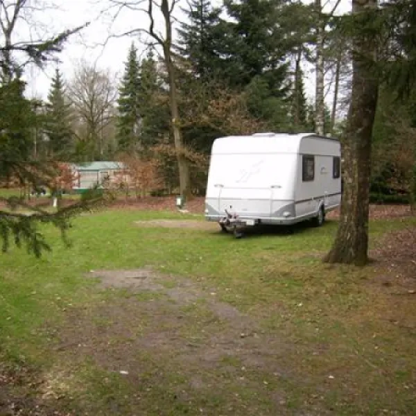 camping-de-paalberg-ermelo-eryrr