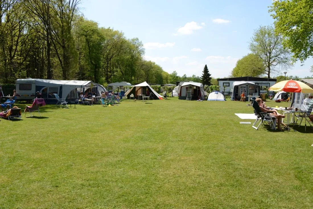 van-rossums-troost-sint-hubert-1rhpn