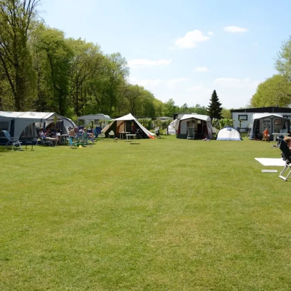 van-rossums-troost-sint-hubert-1rhpn