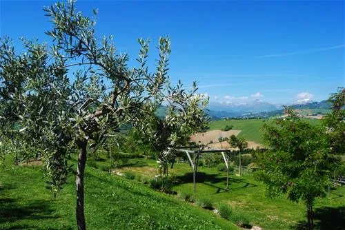 agri-camping-tasteria-montelparo-hv7fq
