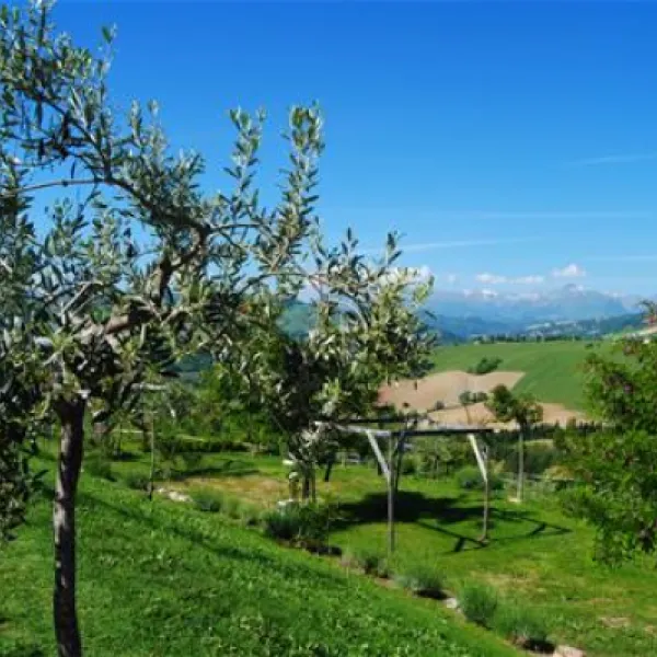 agri-camping-tasteria-montelparo-hv7fq