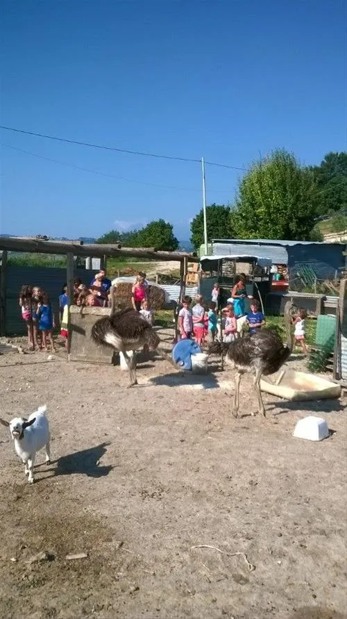agri-camping-tasteria-montelparo-hvyyv