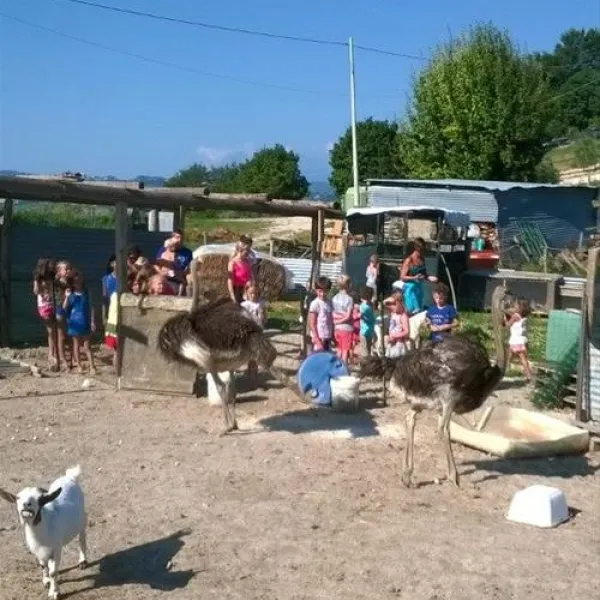 agri-camping-tasteria-montelparo-hvyyv