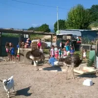 agri-camping-tasteria-montelparo-hvyyv
