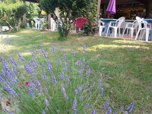 flower-camping-le-pontet-st-astier-5jvzi