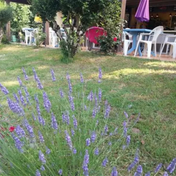 flower-camping-le-pontet-st-astier-5jvzi