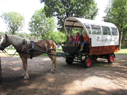 parccamping-de-witte-vennen-oostrum-lb-ikwmr