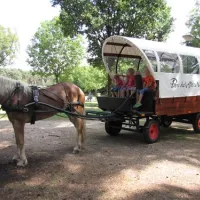 parccamping-de-witte-vennen-oostrum-lb-ikwmr