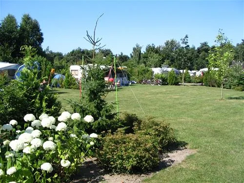 parccamping-de-witte-vennen-oostrum-lb-n9ebu
