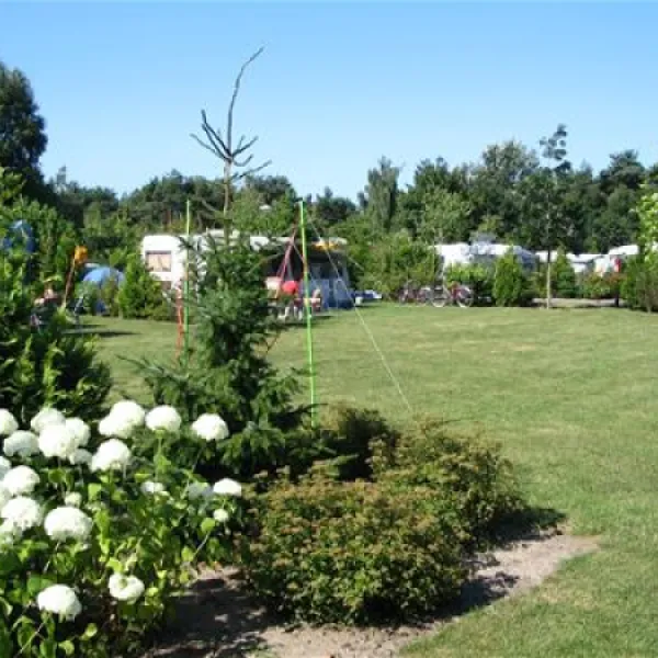 parccamping-de-witte-vennen-oostrum-lb-n9ebu