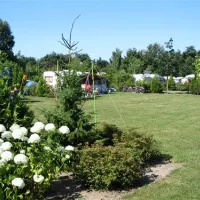 parccamping-de-witte-vennen-oostrum-lb-n9ebu