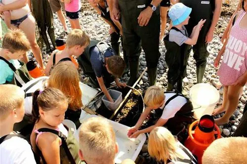 camp-hverringe-dalby-zeryw