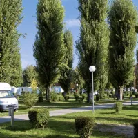 camping-sandaya-international-maisonslaffitte-maisons-laffitte-oqdb1