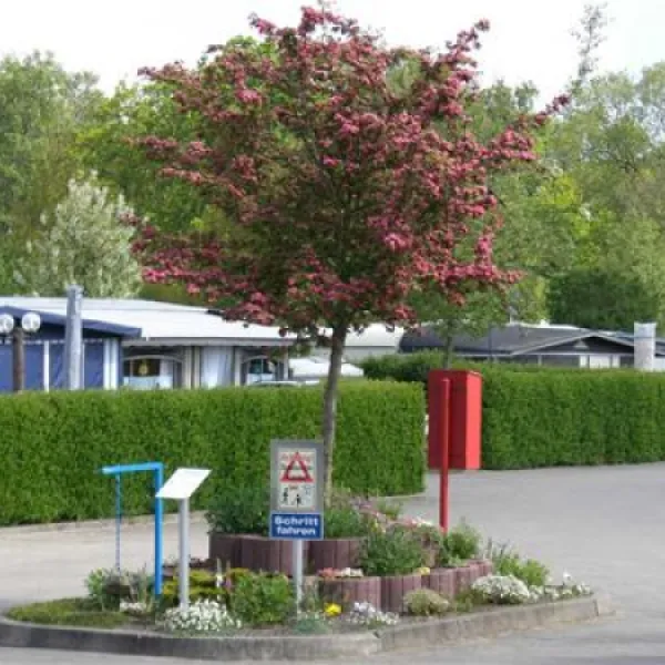 campingplatz-beckmannduhnen-cuxhavenduhnen-0sjgu