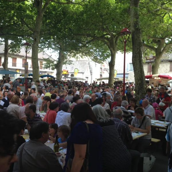 camping-le-val-de-saures-entraygues-sur-truyre-65a5o