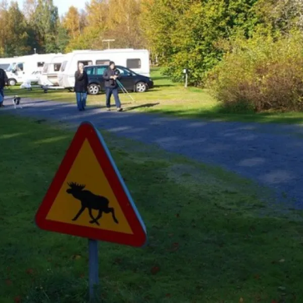 torne-camping-fiskecamp-torne-vprnh