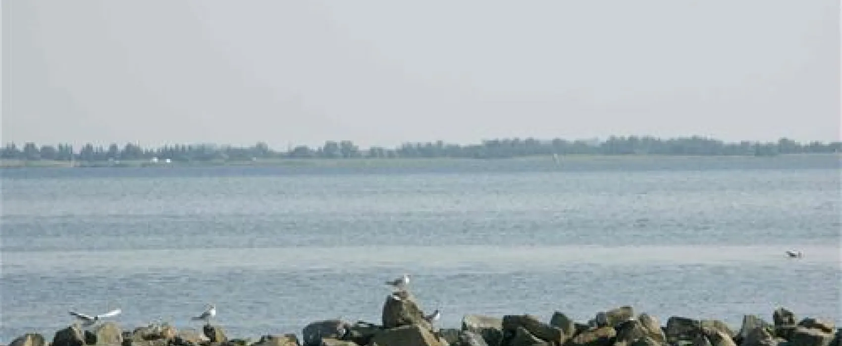 Camping De Grevelingen