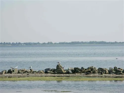camping-de-grevelingen-nieuwe-tonge-hirq3