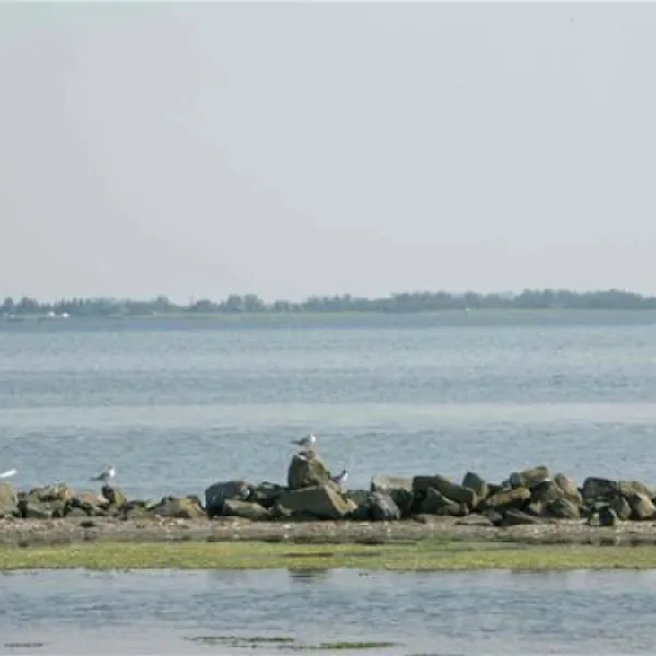 camping-de-grevelingen-nieuwe-tonge-hirq3