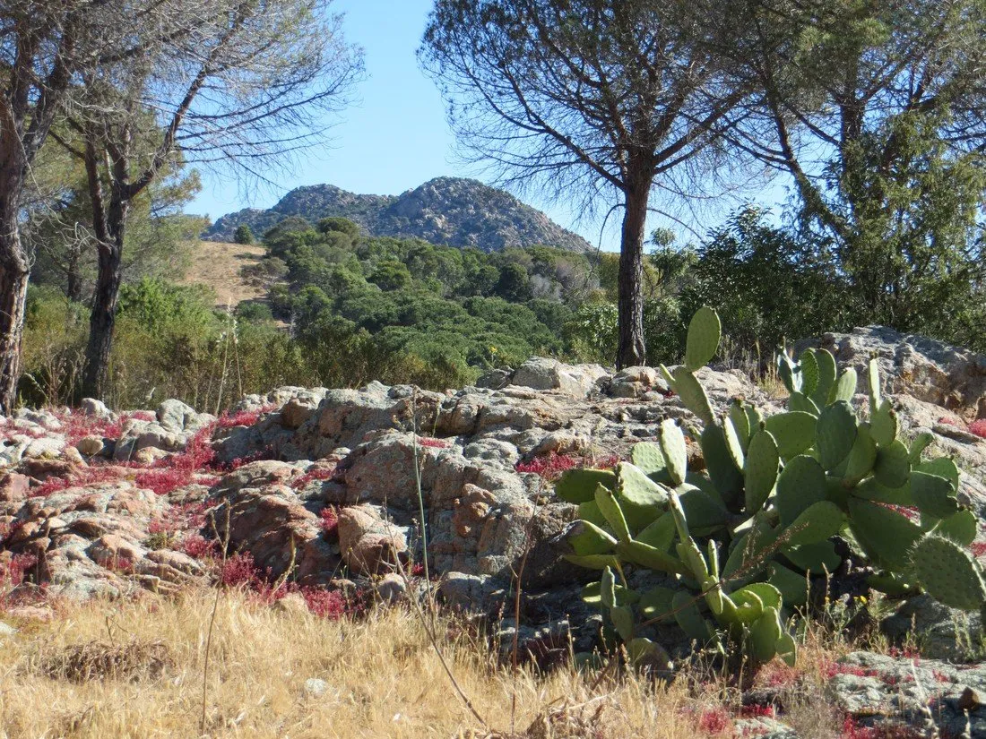 amfibie-treks-mandras-siniscola-ysupo