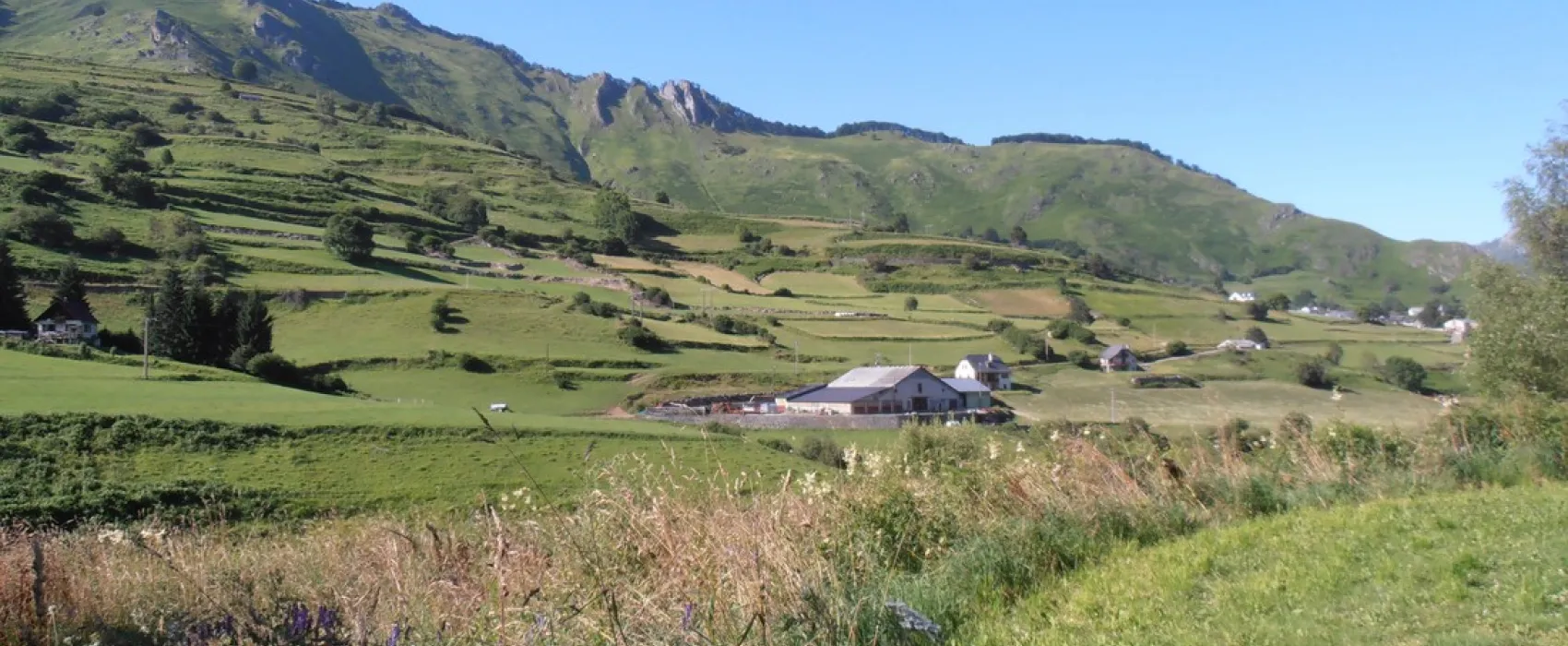 Camping du Lauzart 2