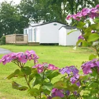 camping-du-lyvet-st-samson-sur-rance-olx6j