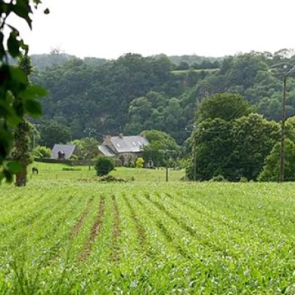 camping-du-lyvet-st-samson-sur-rance-vjnfn