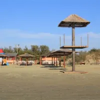 campeggio-pineta-calambrone-inmis