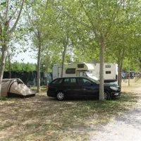 campeggio-pineta-calambrone-s8ef1