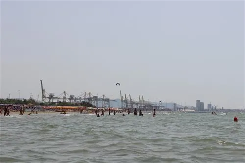 campeggio-pineta-calambrone-zhwhb