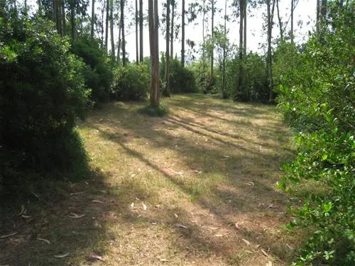 parque-de-campismo-rural-da-silveira-alcobaa-4o586