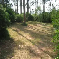 parque-de-campismo-rural-da-silveira-alcobaa-4o586