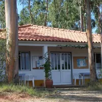 parque-de-campismo-rural-da-silveira-alcobaa-tbnov