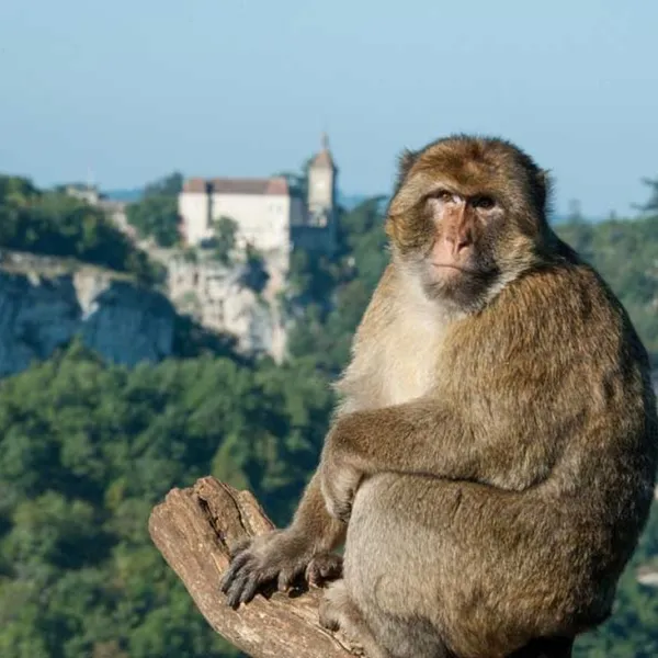 camping-le-relais-du-campeur-rocamadour-znkk1