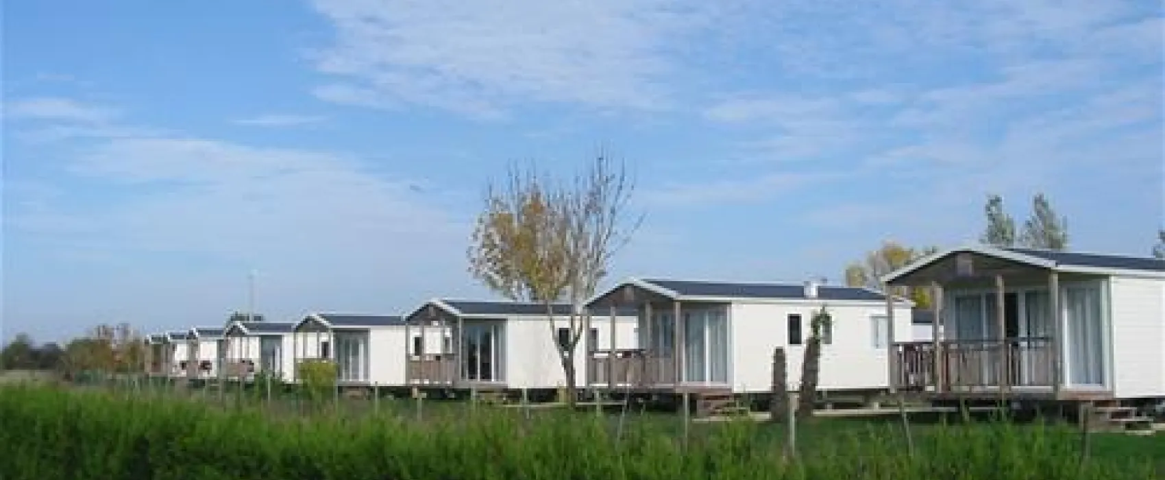 Flower camping - Lac de Saujon