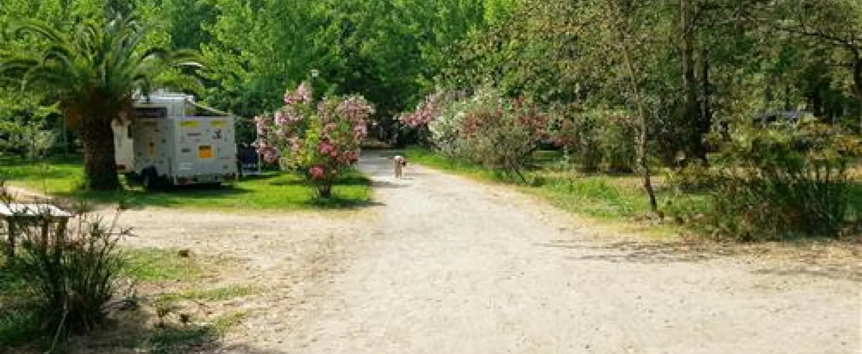 Camping Olmello