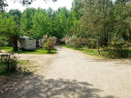 camping-olmello-valle-di-campoloro-v4nsf