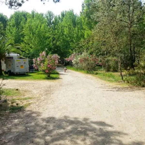 camping-olmello-valle-di-campoloro-v4nsf