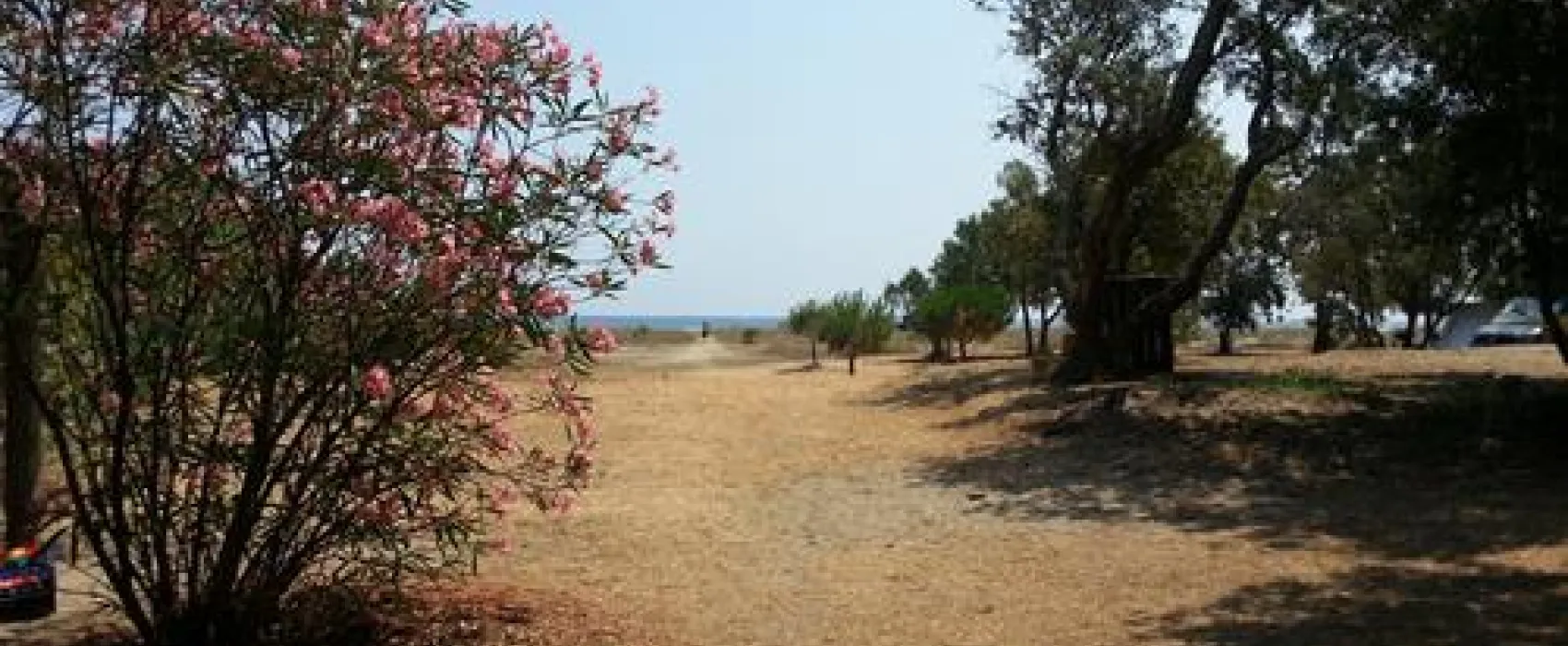 Camping Olmello