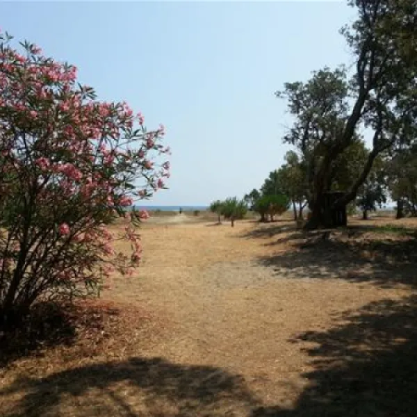 camping-olmello-valle-di-campoloro-xvimc