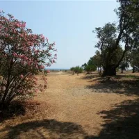 camping-olmello-valle-di-campoloro-xvimc