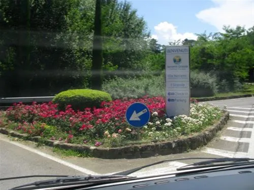 campeggio-norcenni-girasole-club-figline-valdarno-c2blq