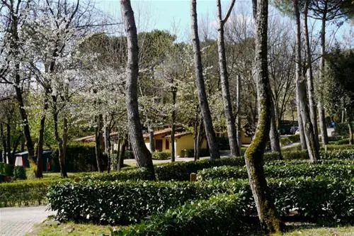campeggio-norcenni-girasole-club-figline-valdarno-gh2bb