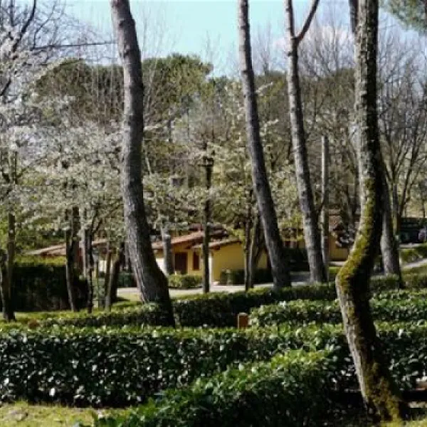 campeggio-norcenni-girasole-club-figline-valdarno-gh2bb