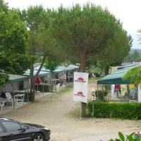 campeggio-norcenni-girasole-club-figline-valdarno-itmzg