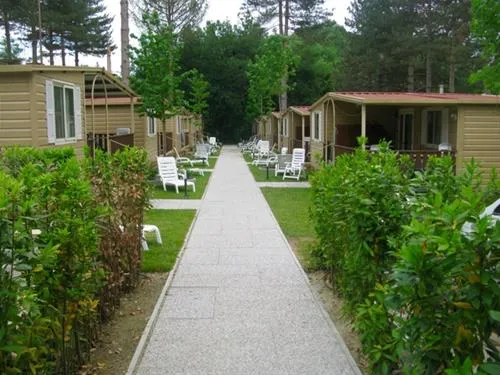 campeggio-norcenni-girasole-club-figline-valdarno-iv125