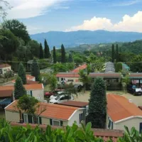 campeggio-norcenni-girasole-club-figline-valdarno-sw8cg