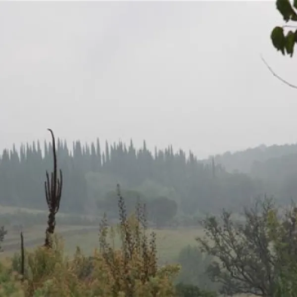 campeggio-norcenni-girasole-club-figline-valdarno-trgvd