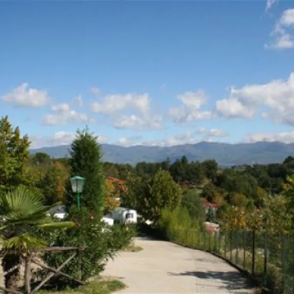 campeggio-norcenni-girasole-club-figline-valdarno-xd12e
